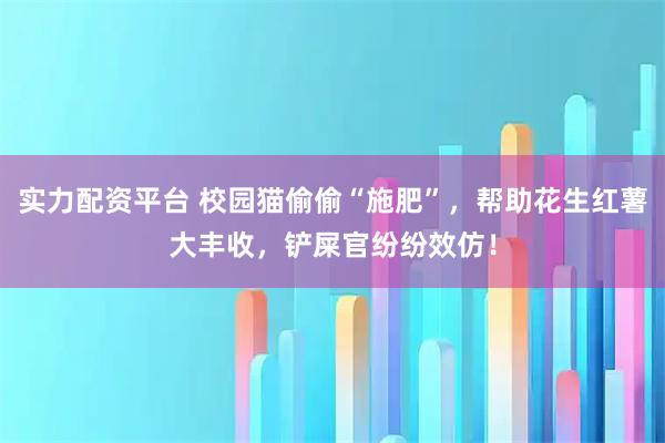 实力配资平台 校园猫偷偷“施肥”，帮助花生红薯大丰收，铲屎官纷纷效仿！