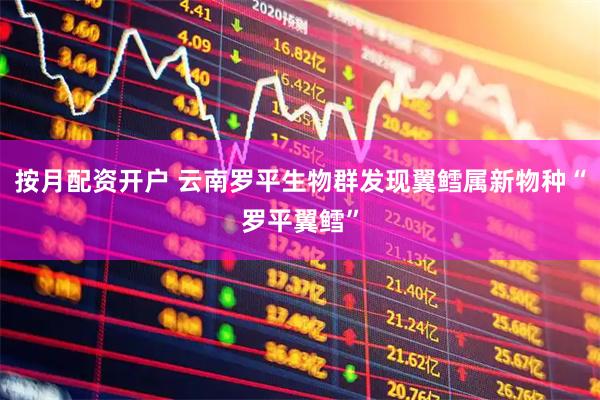 按月配资开户 云南罗平生物群发现翼鳕属新物种“罗平翼鳕”