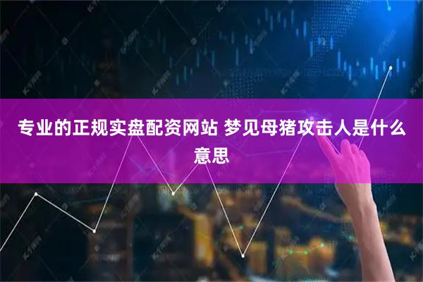专业的正规实盘配资网站 梦见母猪攻击人是什么意思